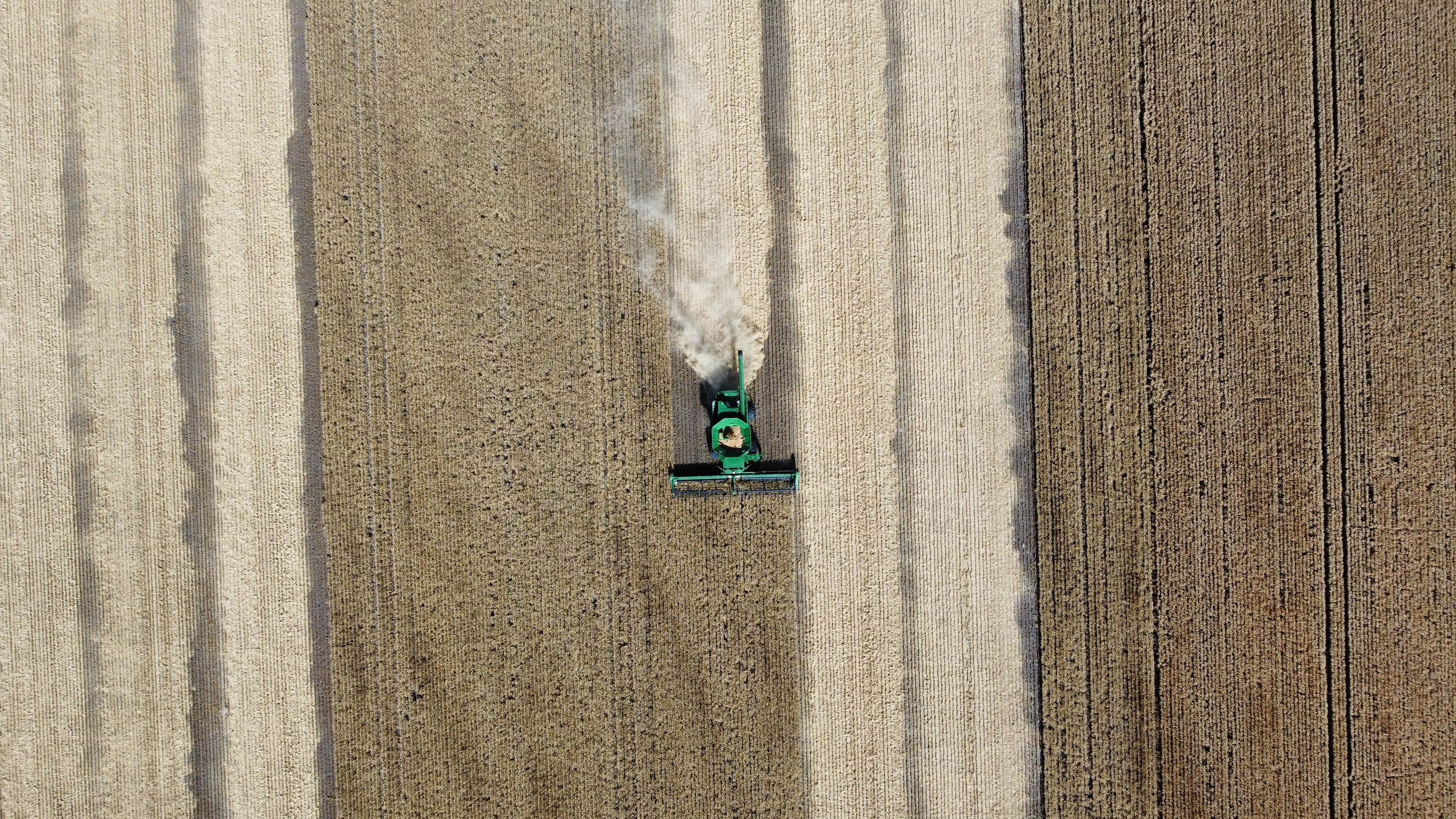 Harvest across the Moree Plains
